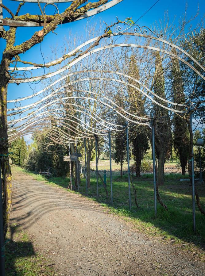 ואדה Agriturismo Le Biricoccole מראה חיצוני תמונה