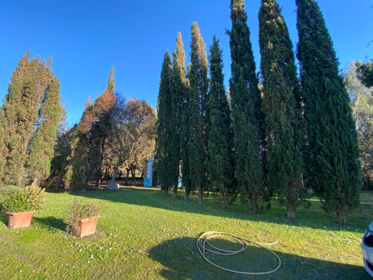 ואדה Agriturismo Le Biricoccole מראה חיצוני תמונה