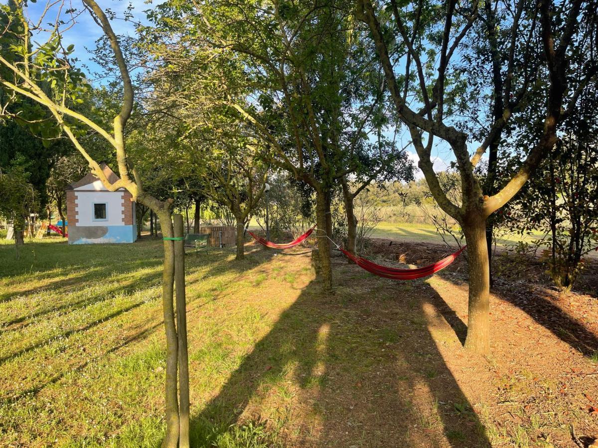 ואדה Agriturismo Le Biricoccole מראה חיצוני תמונה