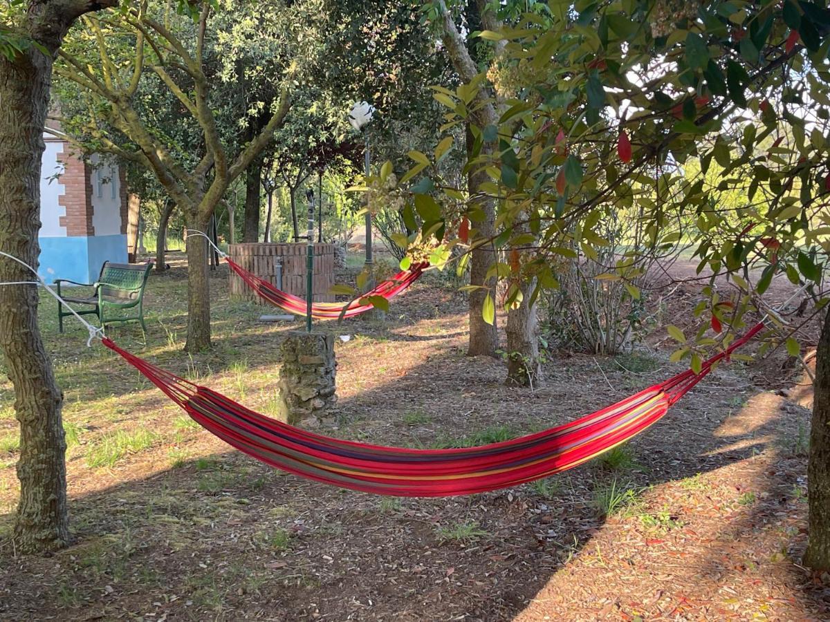 ואדה Agriturismo Le Biricoccole מראה חיצוני תמונה