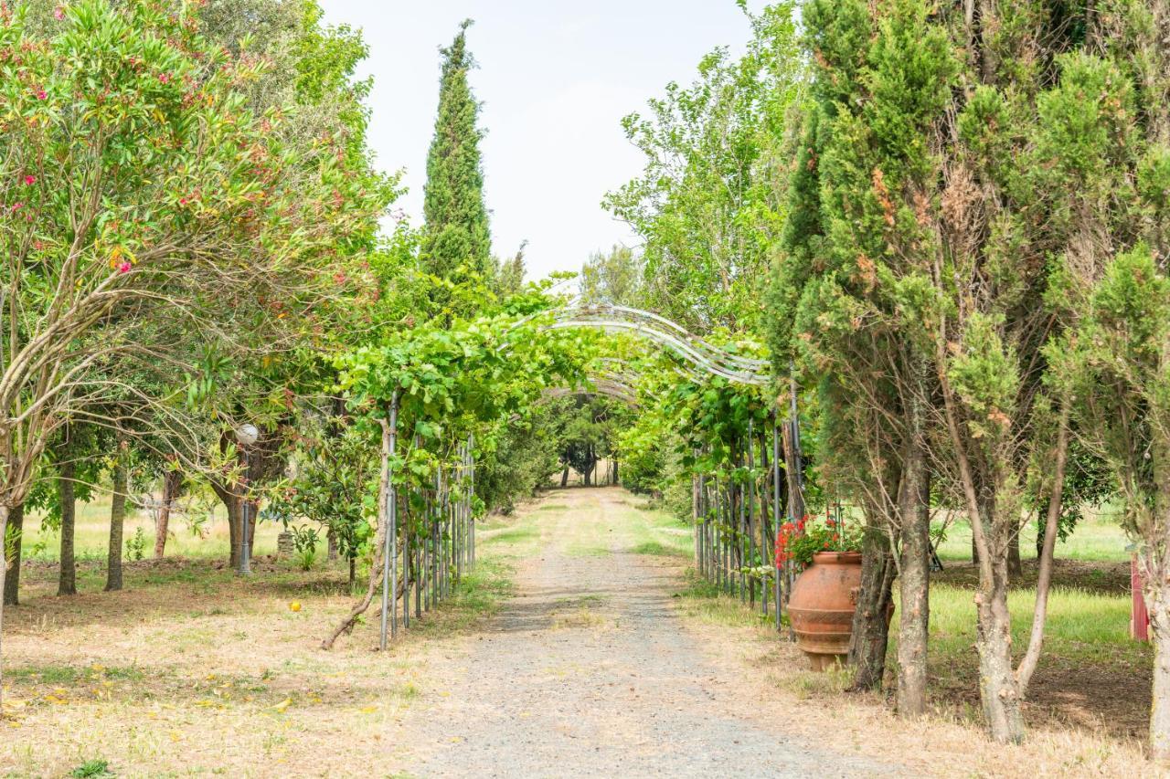 ואדה Agriturismo Le Biricoccole מראה חיצוני תמונה