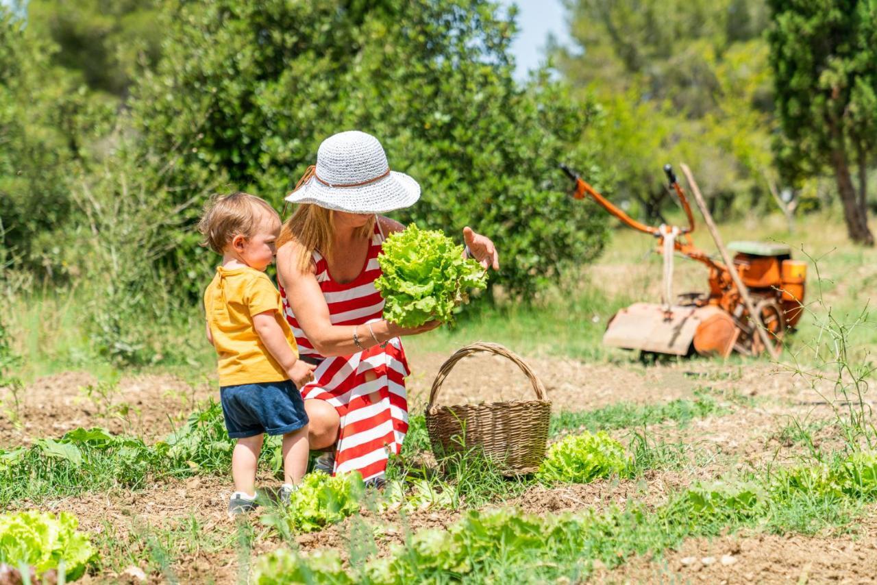 ואדה Agriturismo Le Biricoccole מראה חיצוני תמונה