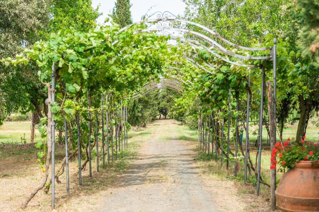 ואדה Agriturismo Le Biricoccole מראה חיצוני תמונה