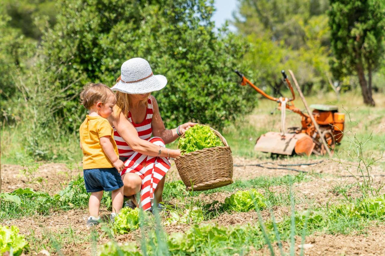 ואדה Agriturismo Le Biricoccole מראה חיצוני תמונה